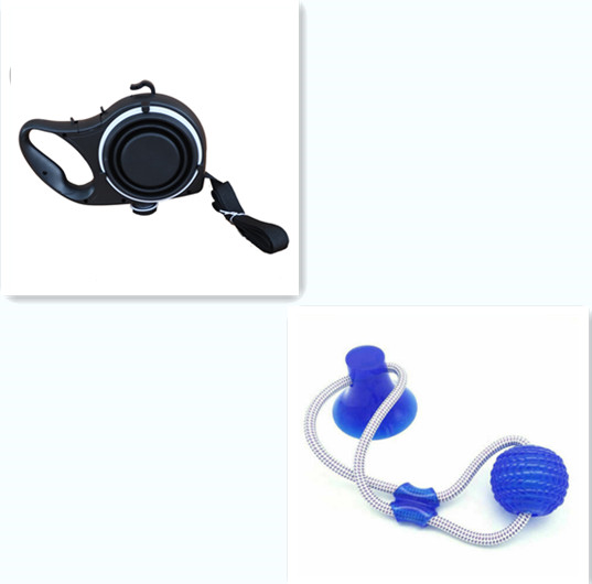Hydrate & Hike Dog All-In-One Leash Kit