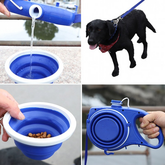 Hydrate & Hike Dog All-In-One Leash Kit