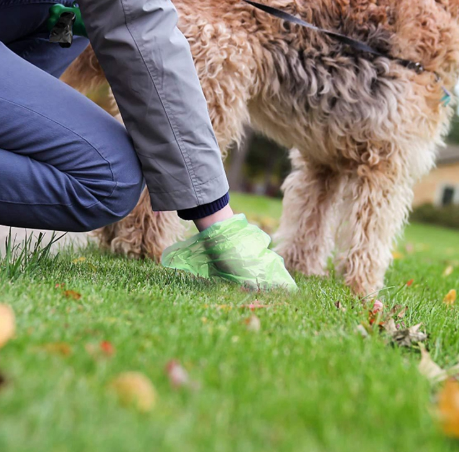 Pet Waste Bags