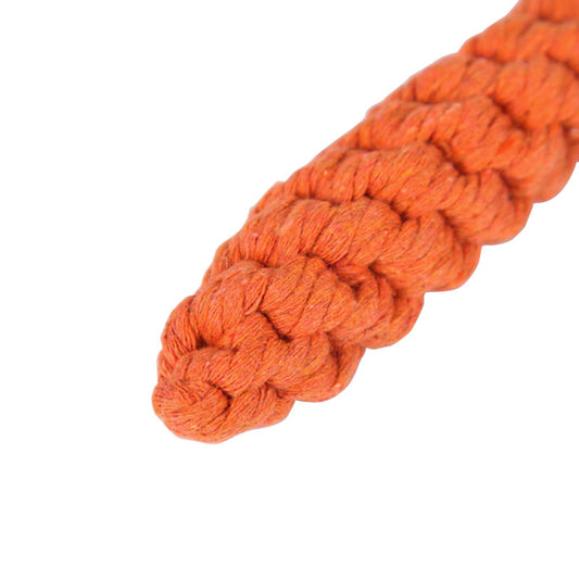 Carrot-Shaped Dog Chew Toy