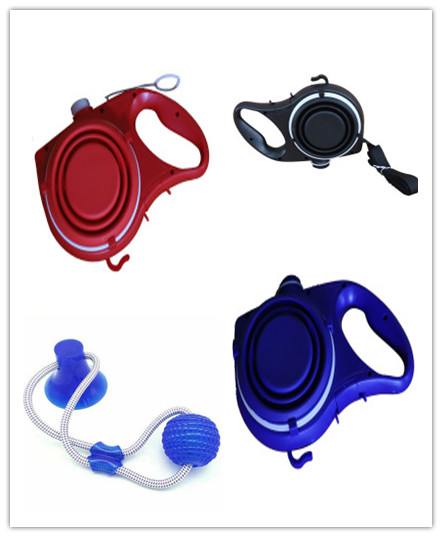 Hydrate & Hike Dog All-In-One Leash Kit
