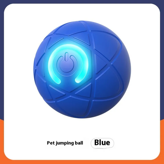 Durable Interactive Pet Play Toy